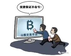 SOL投资陷阱被揭露，已有超19.11人被骗！，市场关注-爱游戏官网
